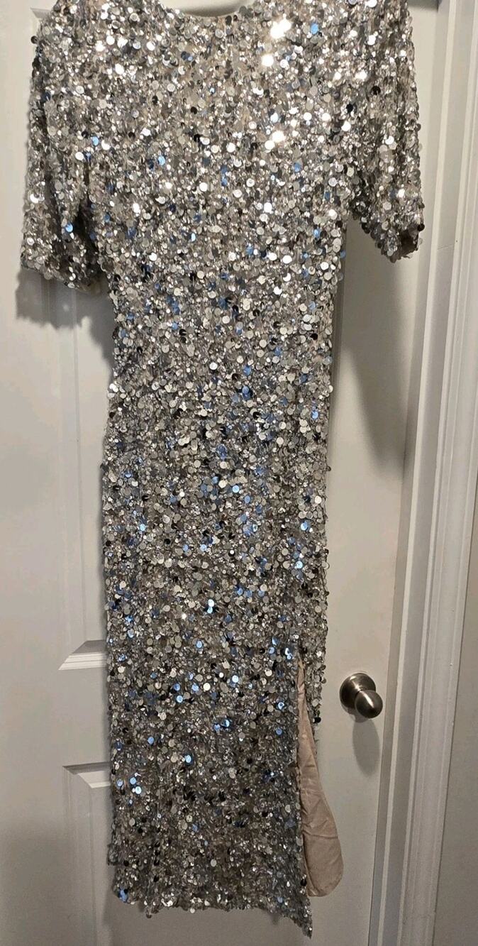 Rachel Gilbert Nixie Gown Size 12/AU 5 Hand Embellished Sequin Silver/Tan Dress